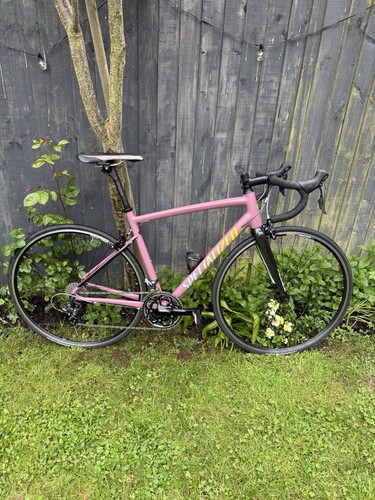 Specialized allez 54cm dusty - 54cm,