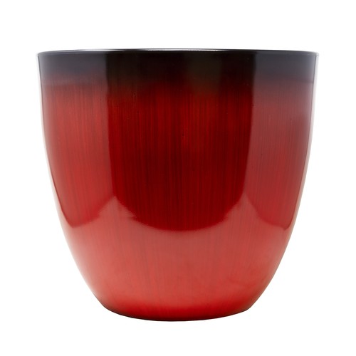 Gardener select large egg - gardener's,