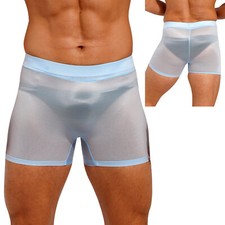 UK Men Underwear Glossy Sheer