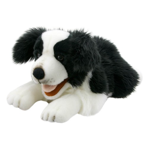 Border collie puppet - puppet, playful