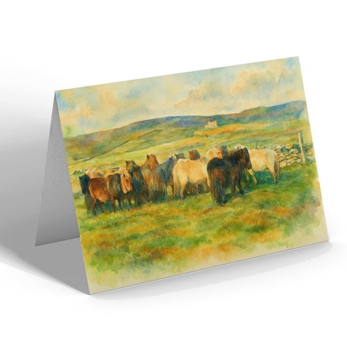 Notelet lerwick shetland - -,