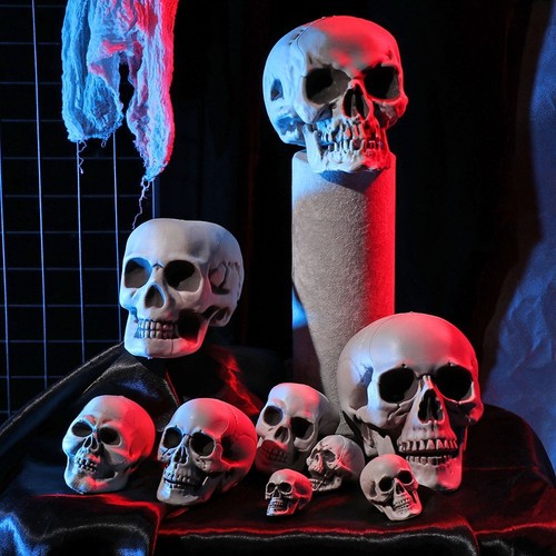 All size realistic plastic - size,