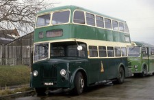 king alfred preserved pou494