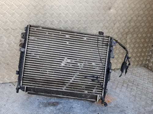 Jaguar rad pack cx2319710aa - jaguar,