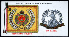 NORFOLK  REGIMENT  Battalion
