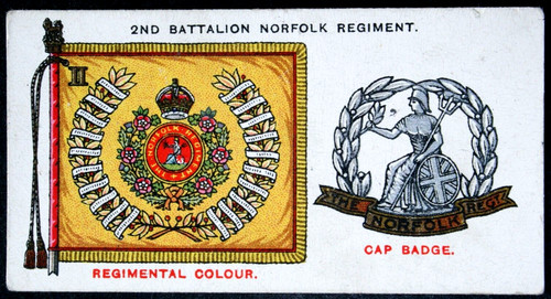 Norfolk regiment battalion - ,
