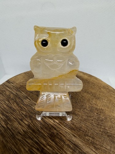 Golden healer owl - healer,