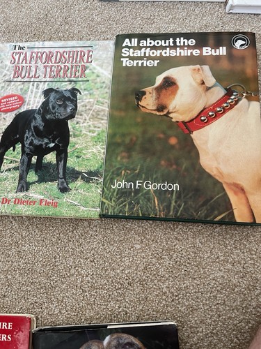 Staffordshire bull terrier - staffordshire,