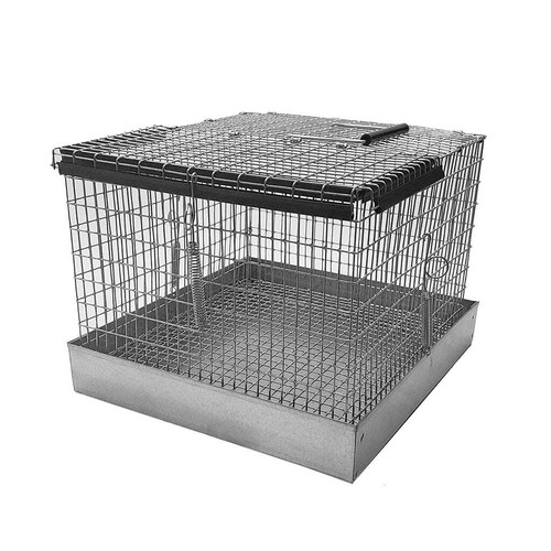 Better bird carry - bird, cage