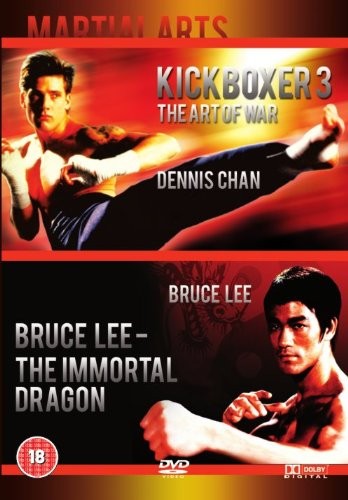Martial arts kickboxer - martial,