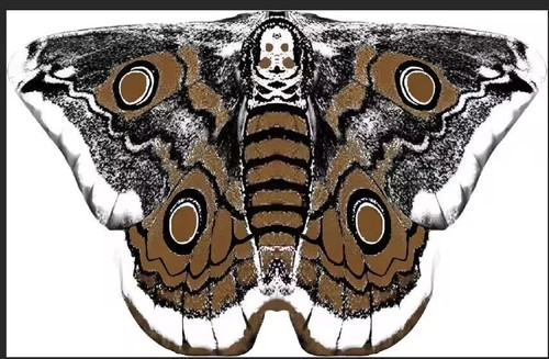 Cosplay butterfly wings cape - butterfly,
