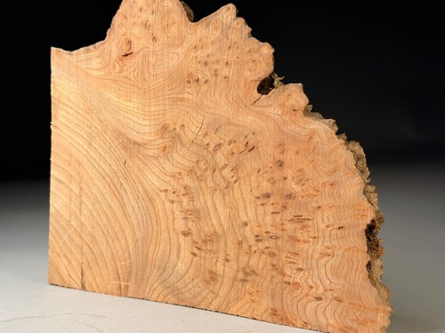 Burr elm live edge - burr,