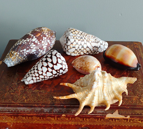 Mixed job lot - mixed, 6