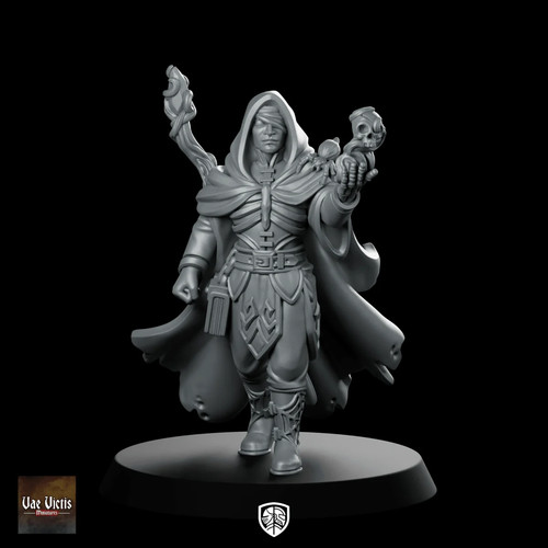 Necromancer miniature hooded - miniature,