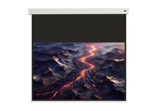 Celexon electric professional - celexon,