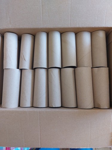 Cardboard toilet roll - ,