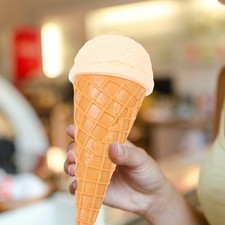 Artificial Ice Cream Model