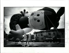 1990 Press Photo Nancy