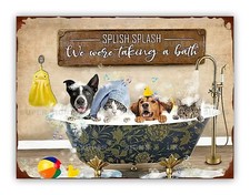 Funny Cats Dogs Bath Time