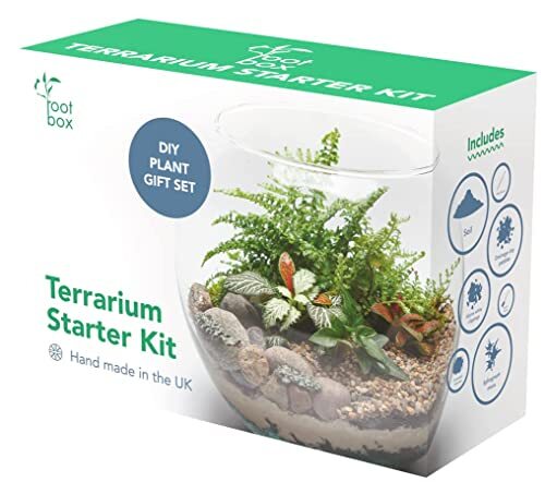 Clearance root box - root, plant