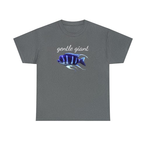 Frontosa african cichlid - frontosa,