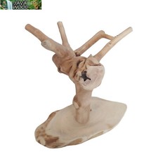 Java wood tiny - java,