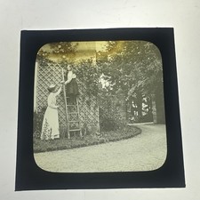 Antique Magic Lantern Slide