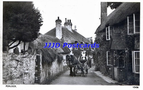 Frome porlock horse - -,