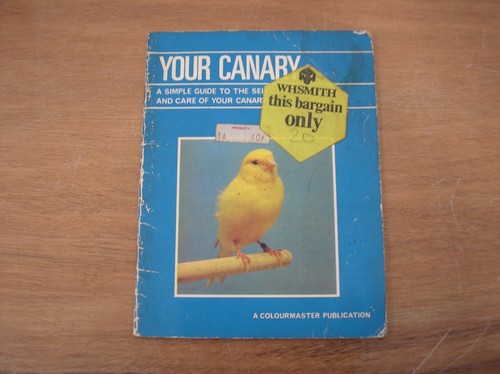 Your canary - your,