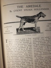 1912 Article Airedale Dog with Photos