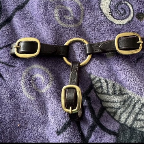 Hand bridle showing - in-hand,
