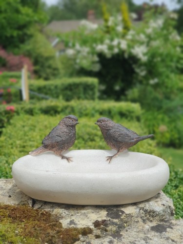 Bird bath feeder bowl - bath,