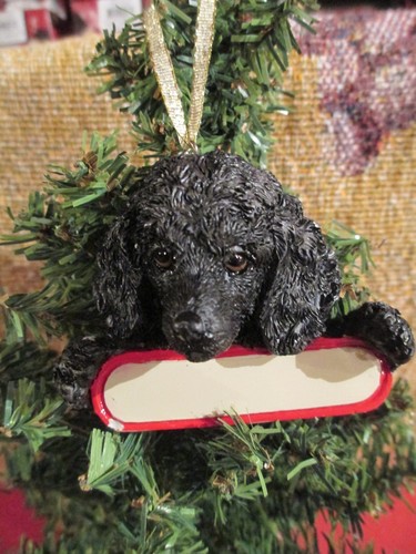 Poodle black puppy - puppy, ~