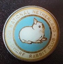 National Netherlands DWARF