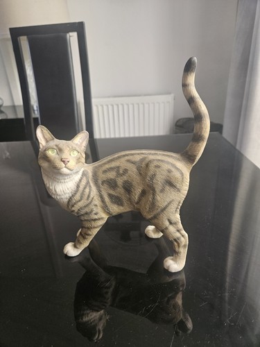Country artists cats for - artists,