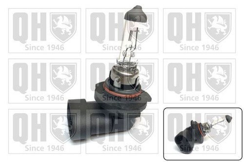 Front fog light bulb - front,