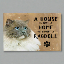 Ragdoll Cat Funny Cute Novelty