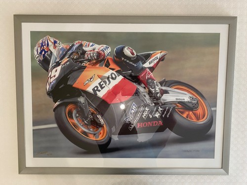 Large nicky hayden repsol - large,