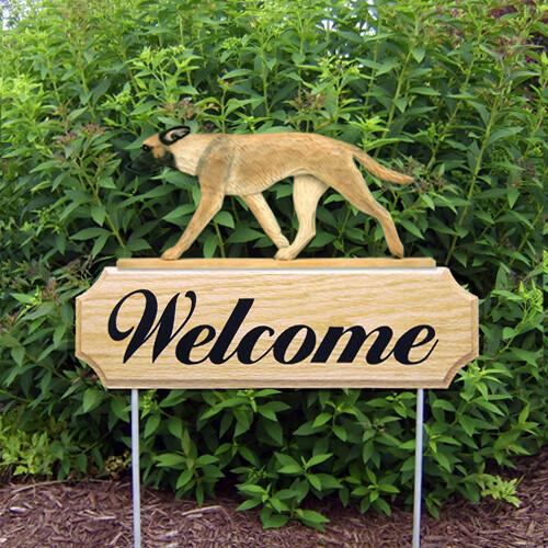 Belgian malinois dig welcome - malinois,