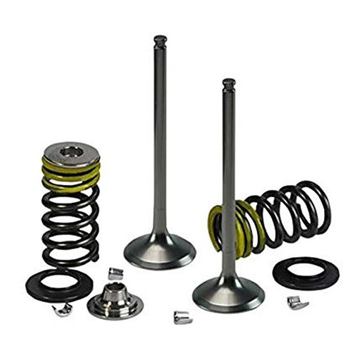 Psychic intake valve kit for - intake,