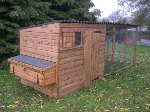 Felton poultry chicken house - chicken,