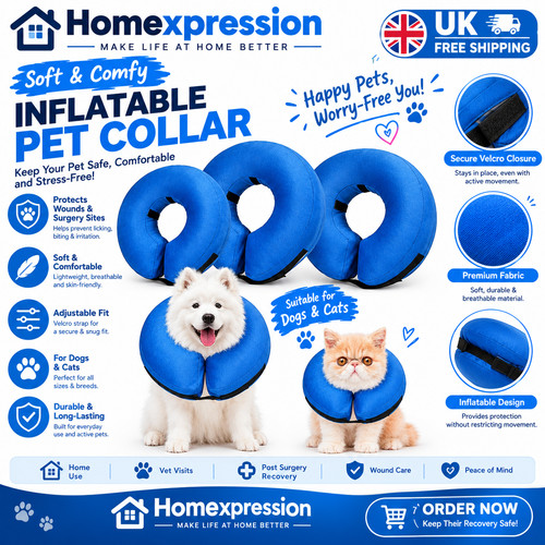 Pet dog cat - cat, inflatable