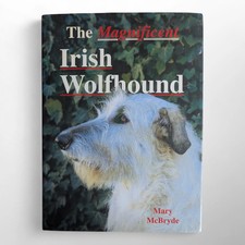 The Magnificent Irish