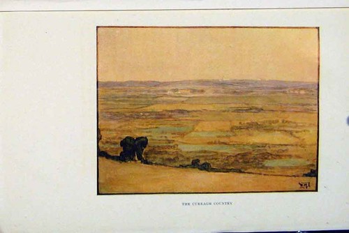 Original old antique print - original,