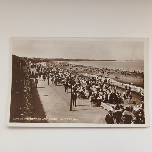 Busy promenade whitley - busy,