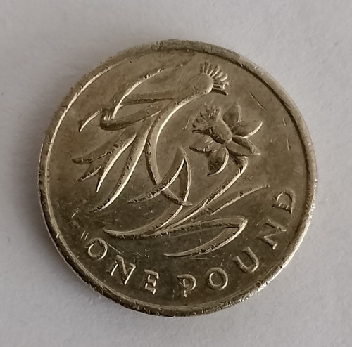2013 welsh royal floral emblem - 2013,