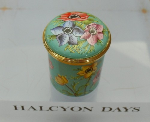 Halcyon days anemones - halcyon,