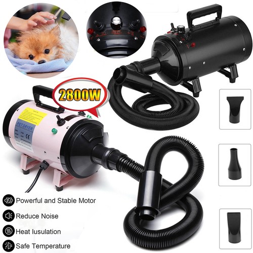 Pet hair dryer dog - hair,