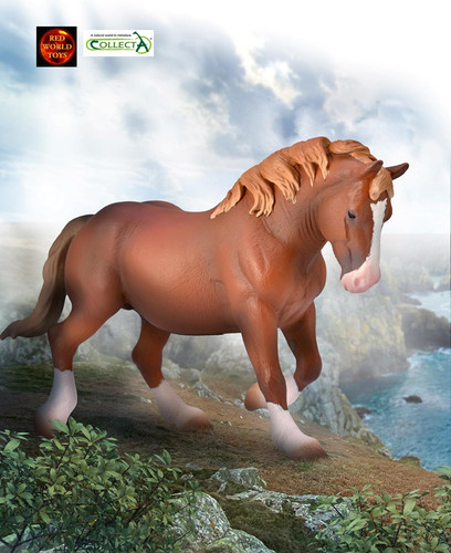 Breton draft horse stallion - horse,