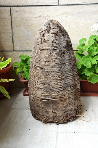 Primitive bee skep - bee,